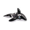 Picture of RIDE-ON 187CM WHALE